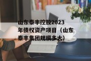 山东泰丰控股2023年债权资产项目（山东泰丰集团规模多大）