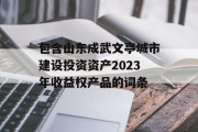 包含山东成武文亭城市建设投资资产2023年收益权产品的词条