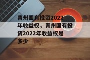 青州国有投资2022年收益权，青州国有投资2022年收益权是多少