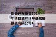 郏县开发投资2024年债权资产（郏县发展投资有限公司）