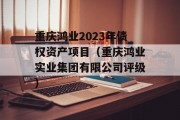 重庆鸿业2023年债权资产项目（重庆鸿业实业集团有限公司评级）