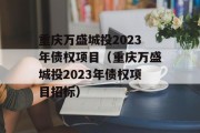 重庆万盛城投2023年债权项目（重庆万盛城投2023年债权项目招标）