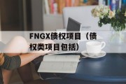 FNGX债权项目（债权类项目包括）