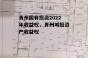 青州国有投资2022年收益权，青州城投资产收益权