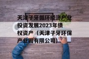 天津子牙循环经济产业投资发展2023年债权资产（天津子牙环保产业园有限公司）