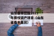山东泰丰控股2023年债权资产项目（山东省泰丰集团）