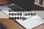 山东晟润水务2023年债权项目（山东晟润水务是国企吗）