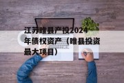 江苏睢县产投2024年债权资产（睢县投资最大项目）