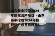 山东泰丰控股2024年债权资产项目（山东泰丰控股2024年债权资产项目有哪些）