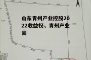 山东青州产业控股2022收益权，青州产业园