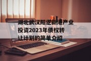 湖北武汉阳逻新港产业投资2023年债权转让计划的简单介绍