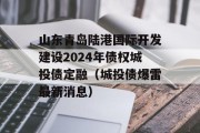 山东青岛陆港国际开发建设2024年债权城投债定融（城投债爆雷最新消息）