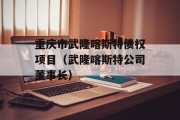 重庆市武隆喀斯特债权项目（武隆喀斯特公司董事长）