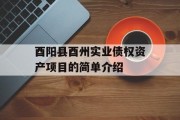 酉阳县酉州实业债权资产项目的简单介绍