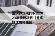 重庆黔江现代农业2023年债权项目（重庆黔江农投集团）