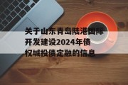 关于山东青岛陆港国际开发建设2024年债权城投债定融的信息