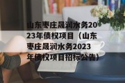 山东枣庄晟润水务2023年债权项目（山东枣庄晟润水务2023年债权项目招标公告）