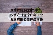 遂宁广利2023年债权资产（遂宁广利工业发展有限公司评级报告）
