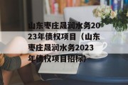 山东枣庄晟润水务2023年债权项目（山东枣庄晟润水务2023年债权项目招标）
