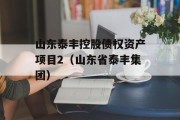山东泰丰控股债权资产项目2（山东省泰丰集团）