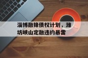 淄博融锋债权计划，潍坊峡山定融违约暴雷