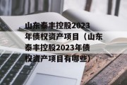 山东泰丰控股2023年债权资产项目（山东泰丰控股2023年债权资产项目有哪些）
