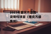 2023年重庆万盛国资债权项目（重庆万盛集团）