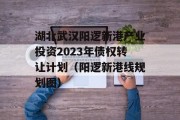 湖北武汉阳逻新港产业投资2023年债权转让计划（阳逻新港线规划图）