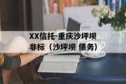 XX信托-重庆沙坪坝非标（沙坪坝 债务）