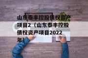 山东泰丰控股债权资产项目2（山东泰丰控股债权资产项目2022年）