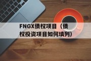 FNGX债权项目（债权投资项目如何填列）