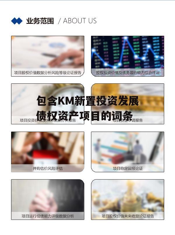 包含KM新置投资发展债权资产项目的词条