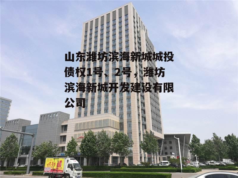 山东潍坊滨海新城城投债权1号、2号，潍坊滨海新城开发建设有限公司