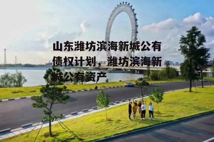 山东潍坊滨海新城公有债权计划，潍坊滨海新城公有资产