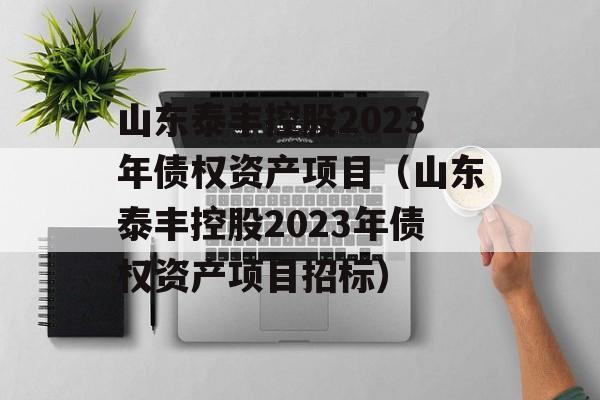 山东泰丰控股2023年债权资产项目（山东泰丰控股2023年债权资产项目招标）