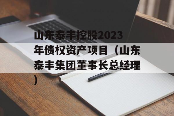 山东泰丰控股2023年债权资产项目（山东泰丰集团董事长总经理）
