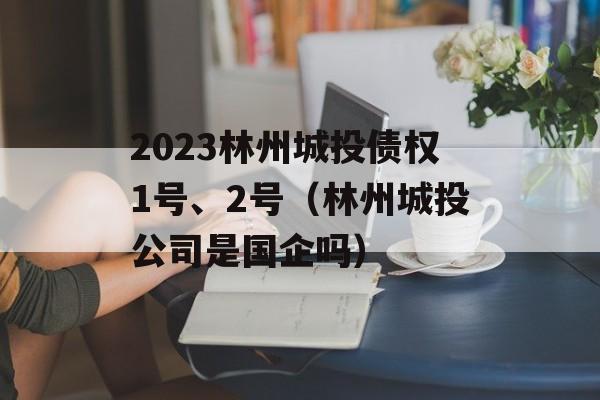 2023林州城投债权1号、2号（林州城投公司是国企吗）
