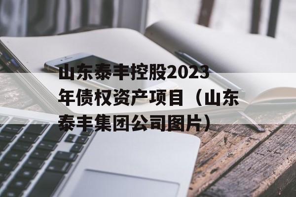 山东泰丰控股2023年债权资产项目（山东泰丰集团公司图片）