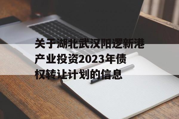 关于湖北武汉阳逻新港产业投资2023年债权转让计划的信息
