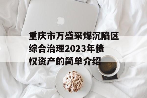重庆市万盛采煤沉陷区综合治理2023年债权资产的简单介绍
