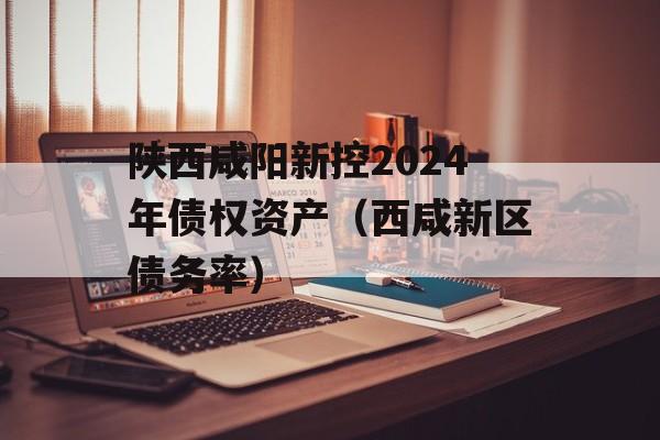 陕西咸阳新控2024年债权资产（西咸新区债务率）