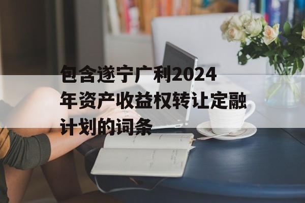 包含遂宁广利2024年资产收益权转让定融计划的词条
