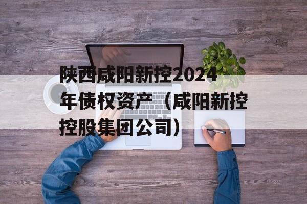 陕西咸阳新控2024年债权资产（咸阳新控控股集团公司）