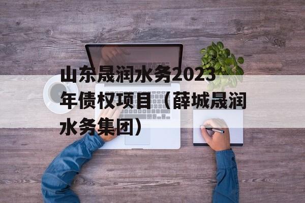 山东晟润水务2023年债权项目（薛城晟润水务集团）