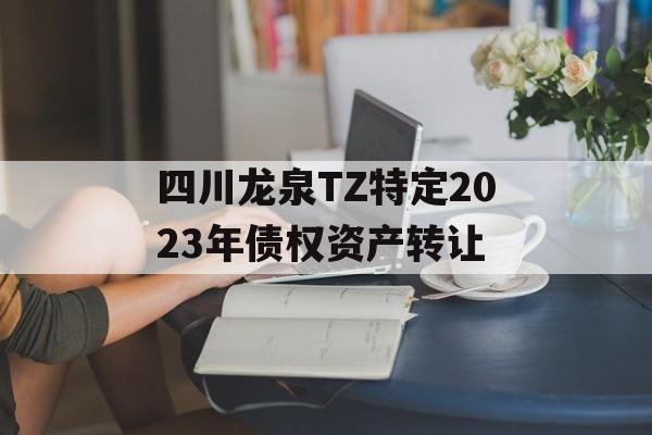 四川龙泉TZ特定2023年债权资产转让