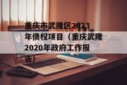 重庆市武隆区2023年债权项目（重庆武隆2020年政府工作报告）