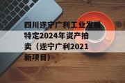 四川遂宁广利工业发展特定2024年资产拍卖（遂宁广利2021新项目）