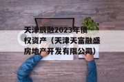 天津辰融2023年债权资产（天津天富融盛房地产开发有限公司）