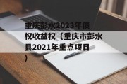 重庆彭水2023年债权收益权（重庆市彭水县2021年重点项目）
