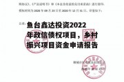 鱼台鑫达投资2022年政信债权项目，乡村振兴项目资金申请报告